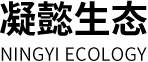 2121非凡